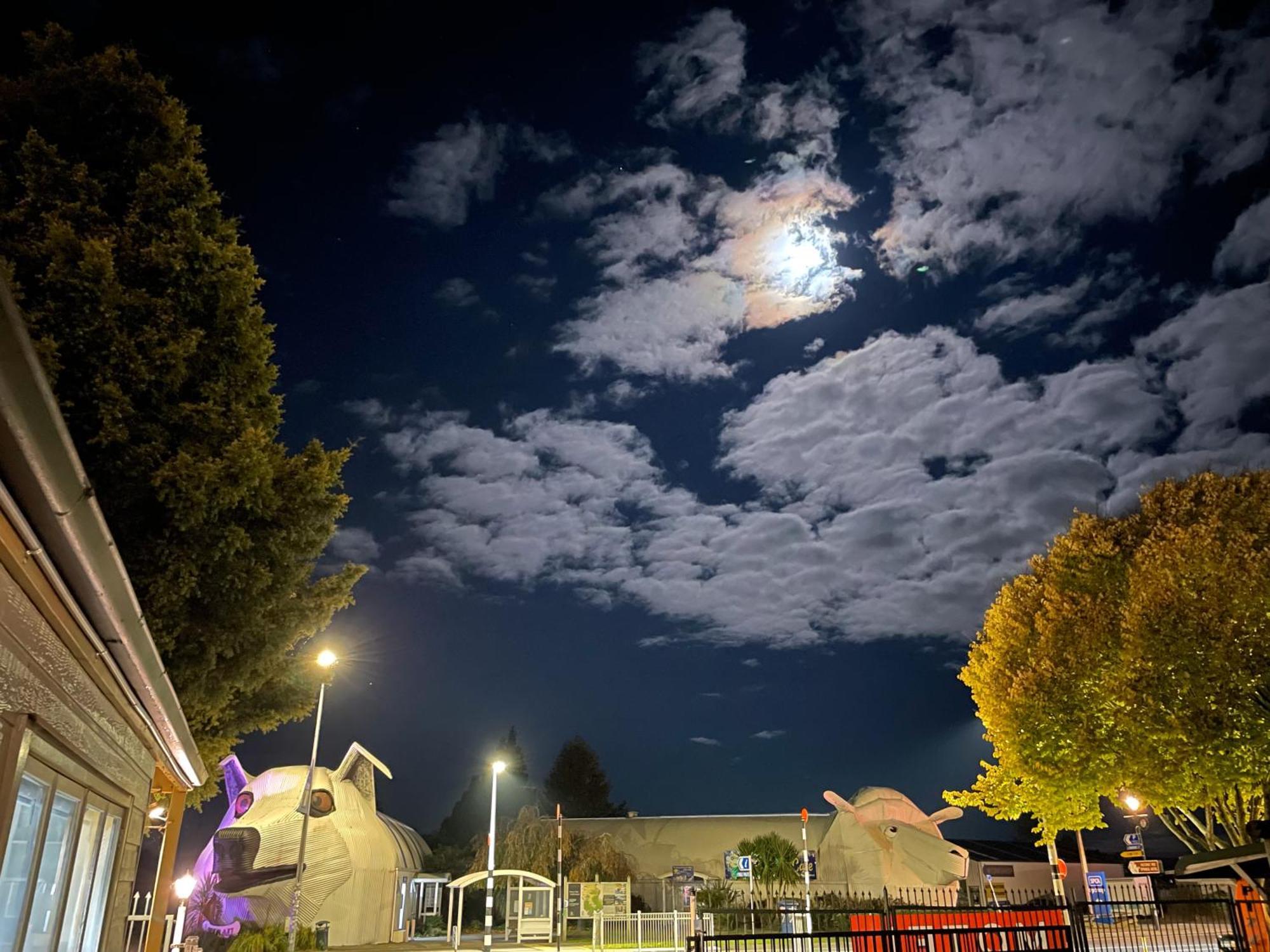 Tirau Motor Inn Exterior photo